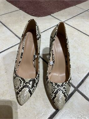 a new day Snake-Print Pointed Pumps in Beige and Black